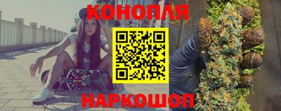 стаф Краснодар